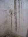 IMG_1467.JPG