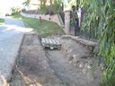 IMG_1910.JPG